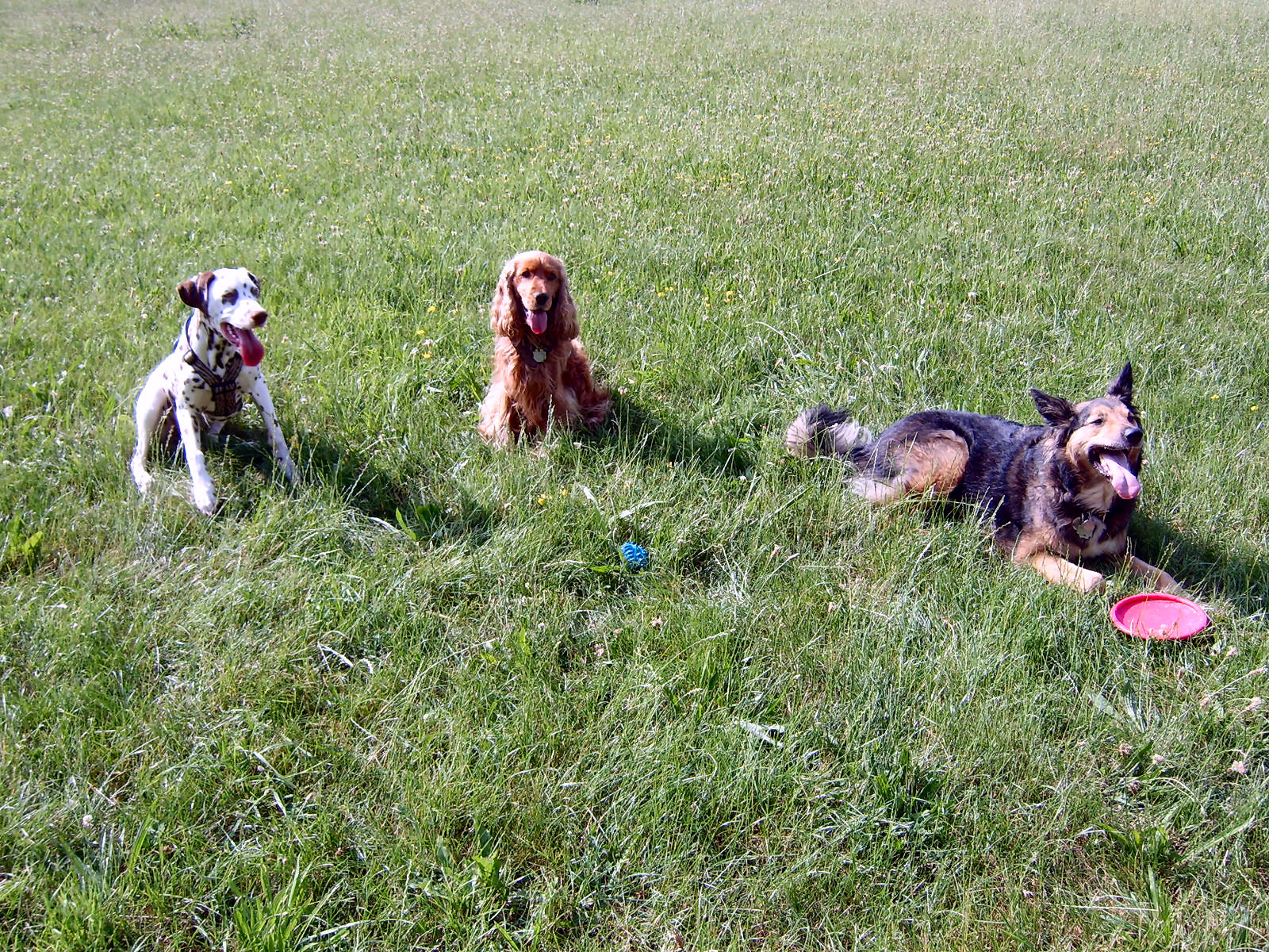 sind wir nicht super?