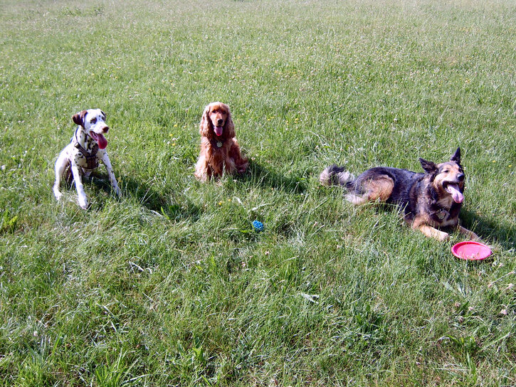 sind wir nicht super?