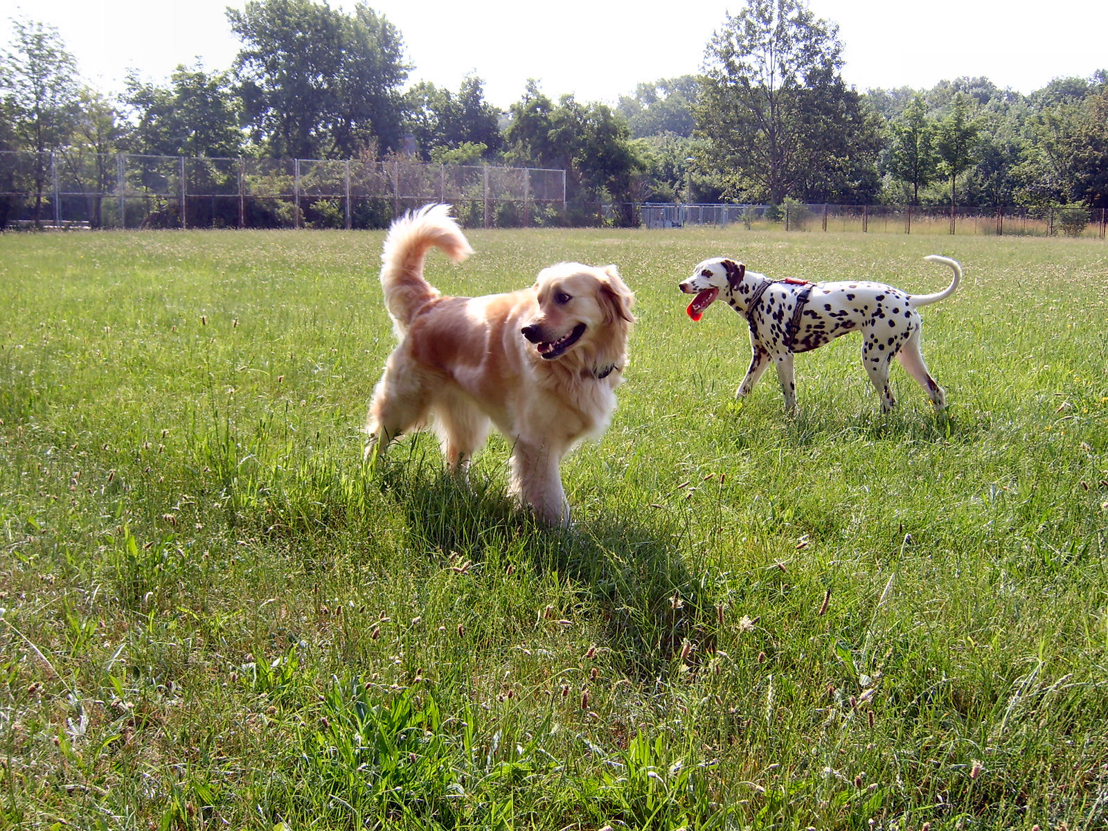 upps... wer kommt denn da?