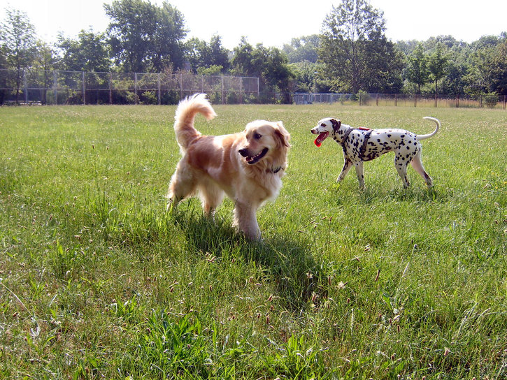 upps... wer kommt denn da?