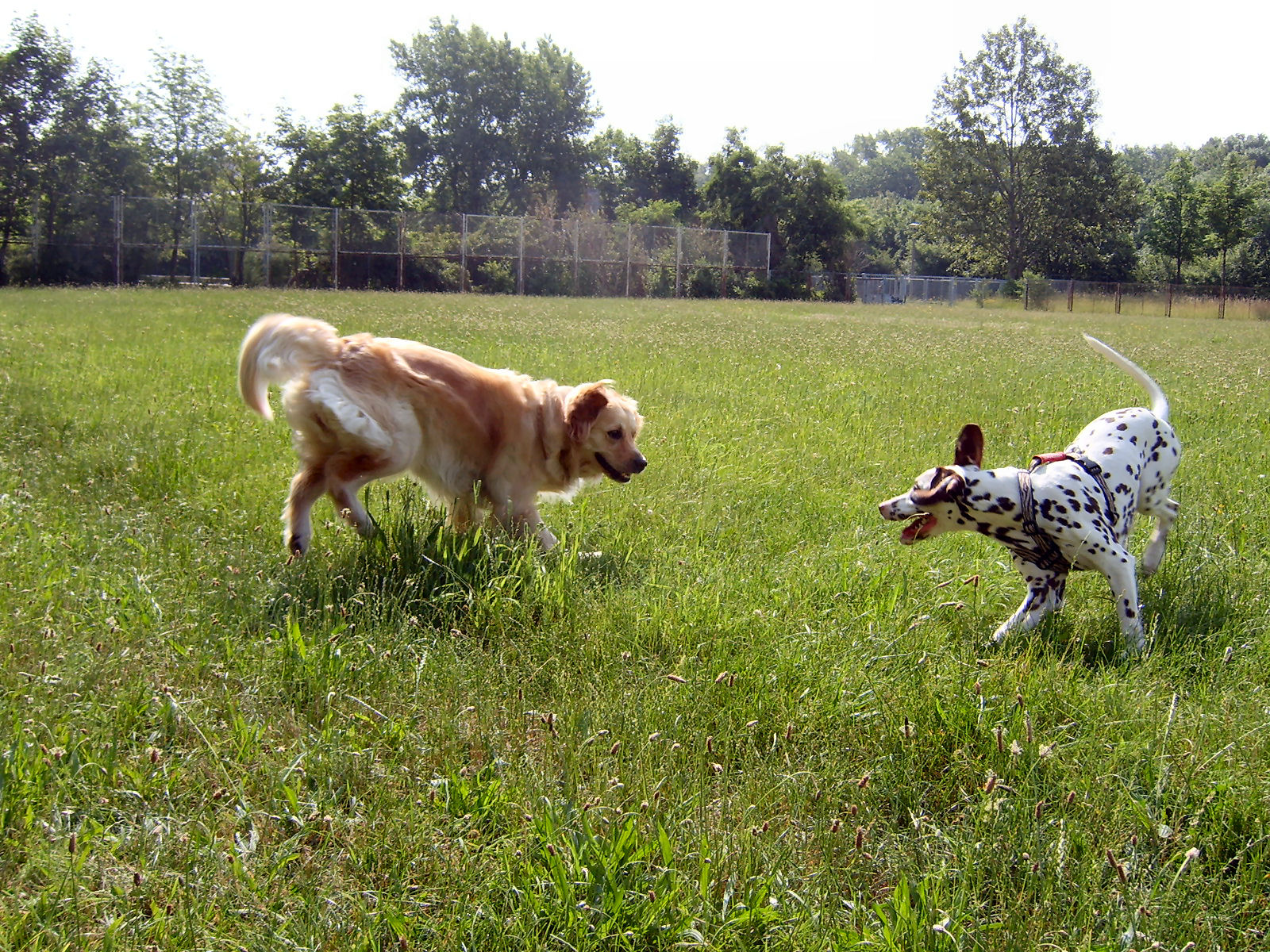egal, hauptsache sie spielt mit mir