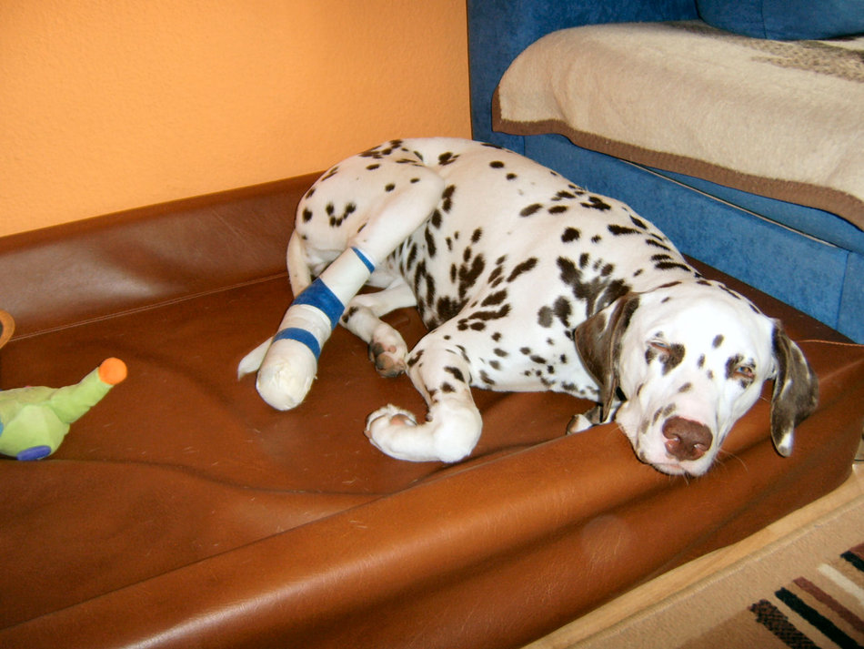 nach der OP am 24.07.