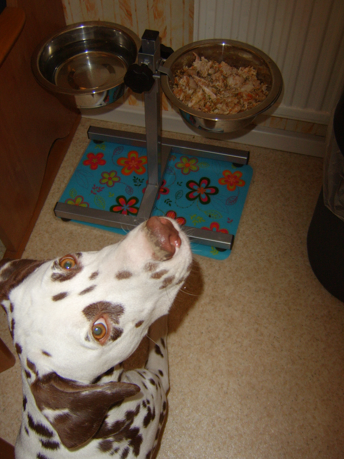 dafür mach ich alles