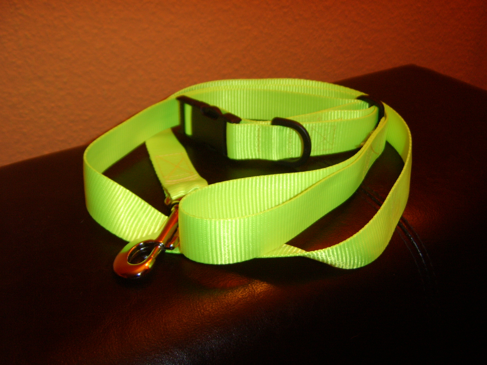 dann gab's heut noch ne Kombi aus Halsband + Leine für mich